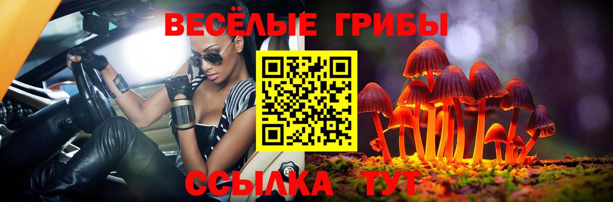 Кубинка  Галлюциногенные грибы прущие грибы  Галлюциногенные грибы Psilocybine cubensis  Вход с VPN 