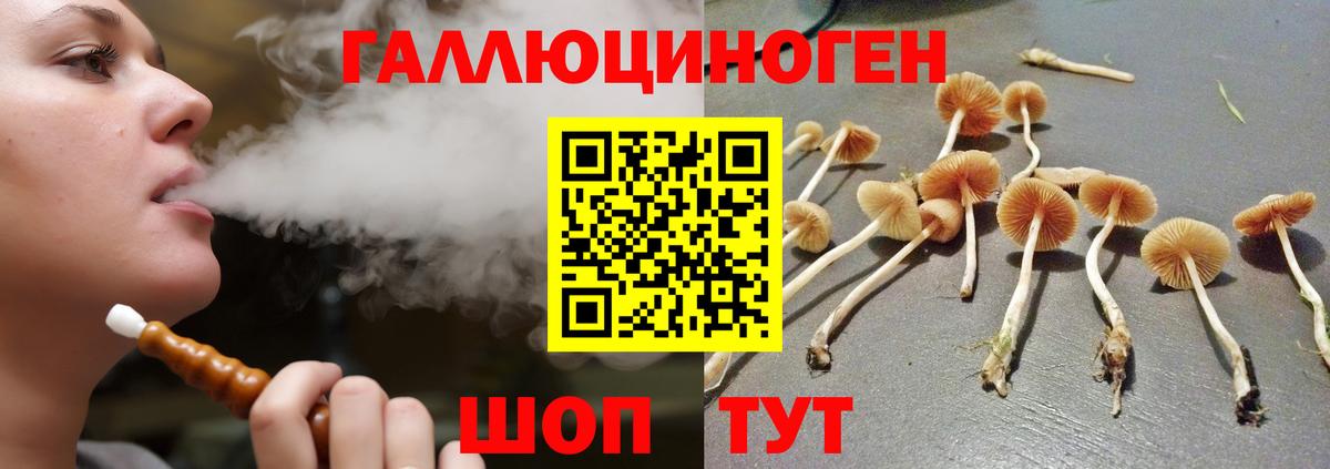 Псилоцибиновые грибы Cubensis Кубинка